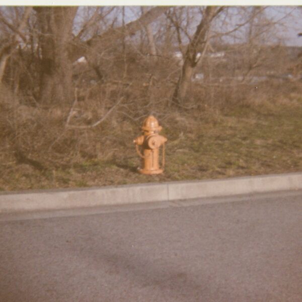 January 2024 Frugal Film Project LoFi Album