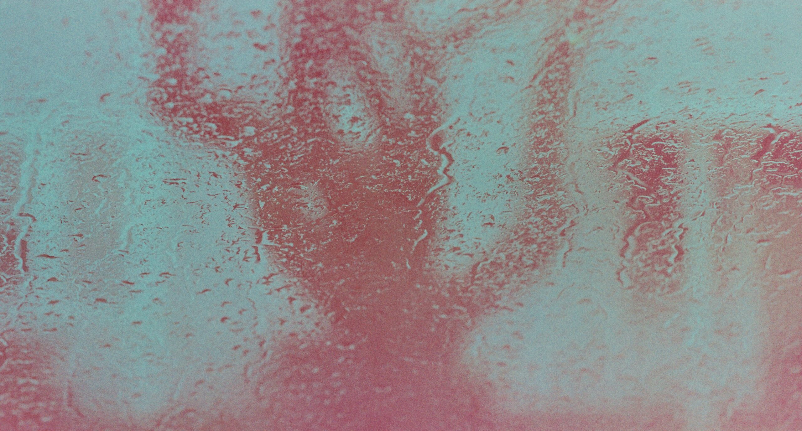 March 2025 Frugal Film Project APS Album