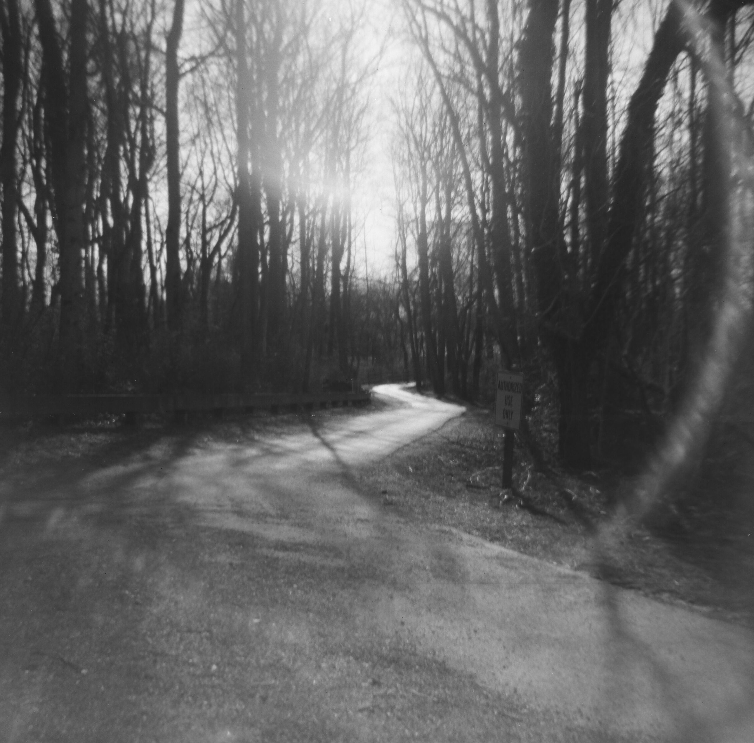 March 2025 Frugal Film Project 620 Album